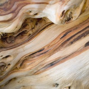 Huon Pine Timber for Sales