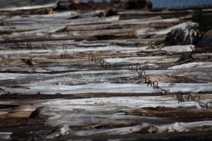 Tasmainan Special Timbers salvaged logs
