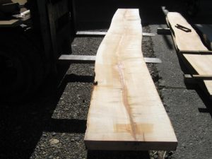 Huon Pine Log No 98