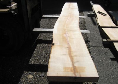 Huon Pine Log No 98