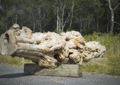 Huon Pine for Sale