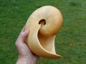 Huon Pine